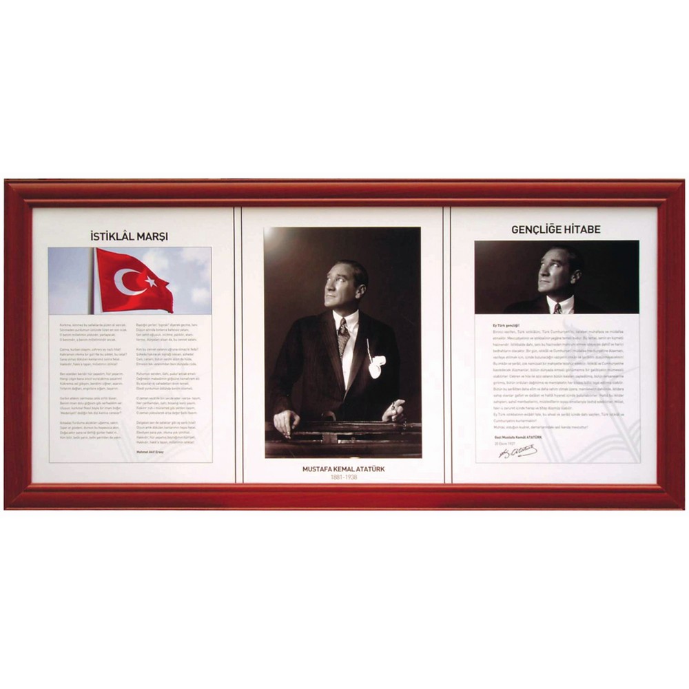 3'ü Bir Arada Milli Levha