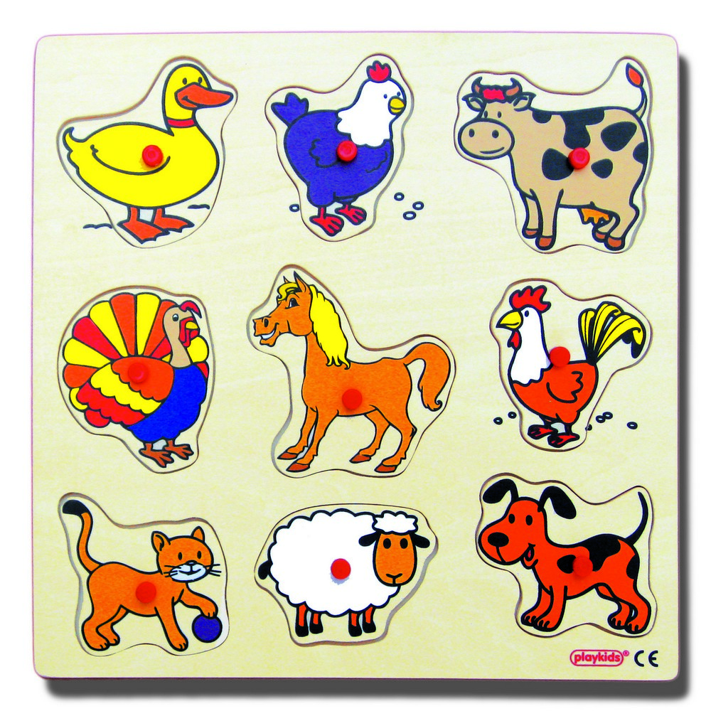 Playkids Evcil Hayvanlar